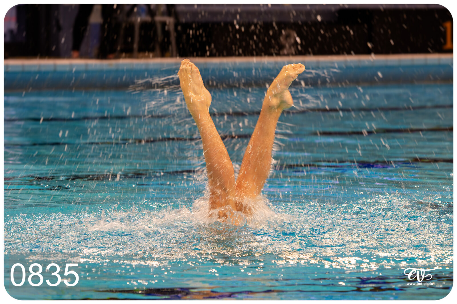CHAMPIONNAT DE FRANCE DE NATATiON ARTISTIQUE N1 & ELITE 2026